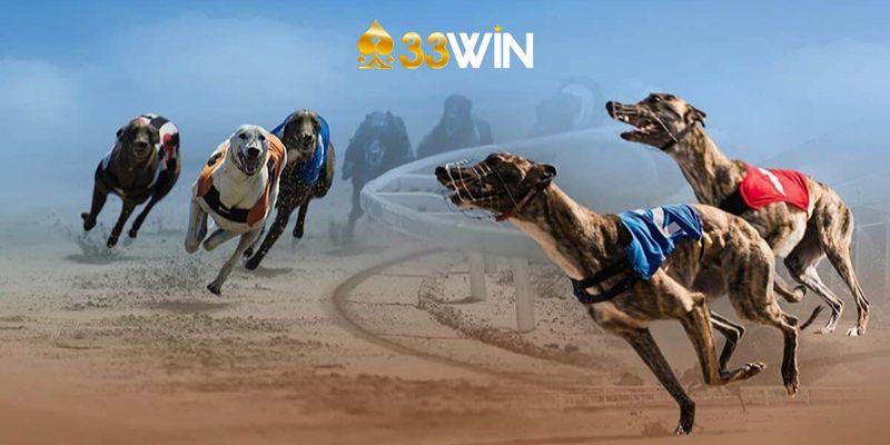 Đánh Giá Tổng Quan Về 33Win