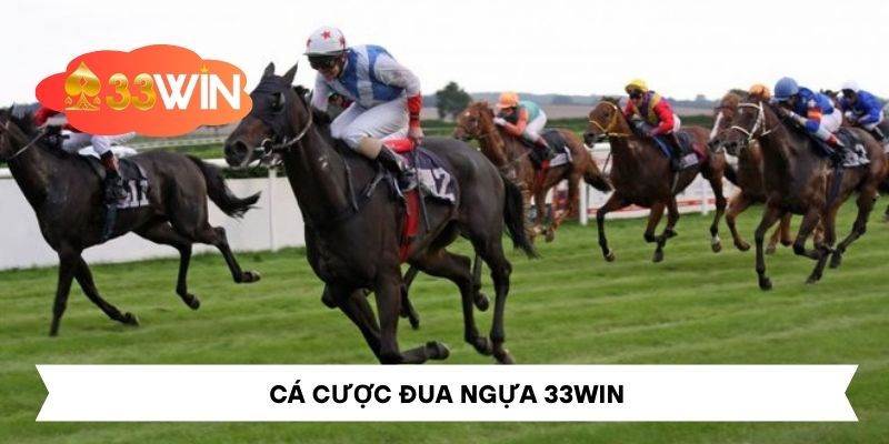 Cá Cược Đua Ngựa Tại 33Win – Trải Nghiệm Không Thể Bỏ Lỡ