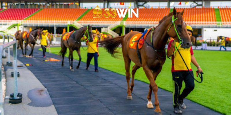 Cách Tham Gia Cá Cược Đua Ngựa Tại 33Win