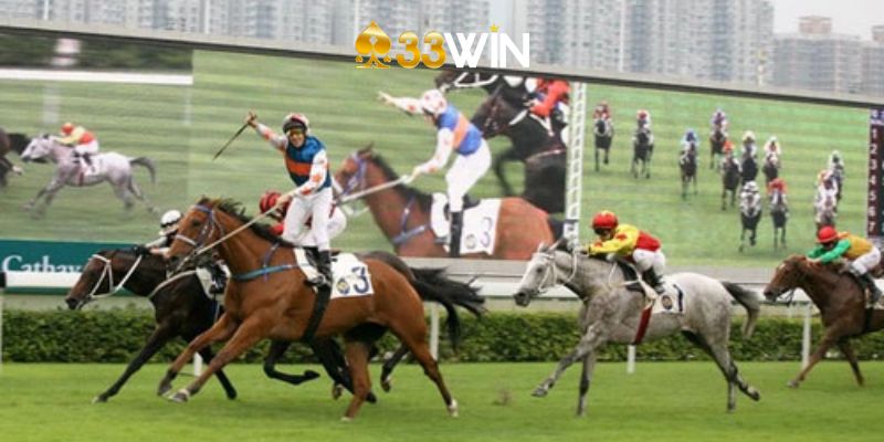 Câu Hỏi Thường Gặp
