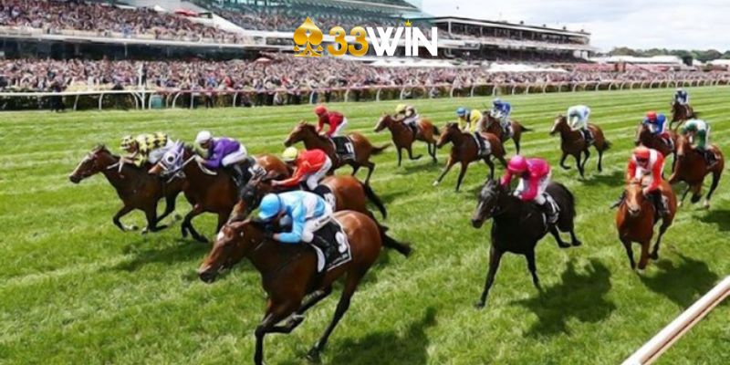 Lý Do Nên Chọn Cá Cược Đua Ngựa Tại 33Win