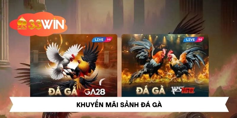 Khuyến Mãi Sảnh Đá Gà – Đón Nhận Nhiều Ưu Đãi Hấp Dẫn