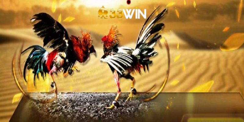 Tổng quan sảnh đá gà của 33Win